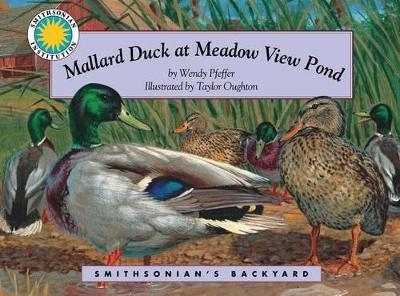 Mallard Duck at Meadow View Pond - Wendy Pfeffer