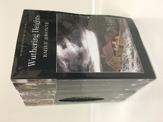 The Best of the Brontë Sisters