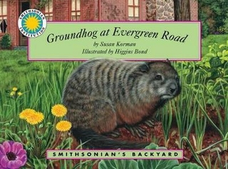 Groundhog at Evergreen Road