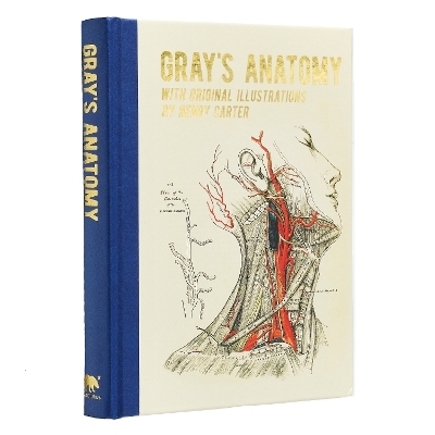 Gray's Anatomy - Henry Gray