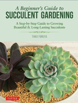 A Beginner's Guide to Succulent Gardening - Taku Furuya