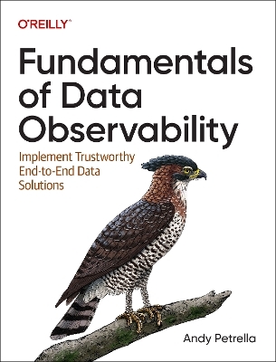 Fundamentals of data observability