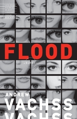 Flood - Andrew Vachss