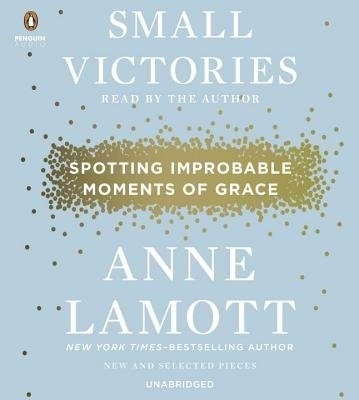 Small Victories - Anne Lamott
