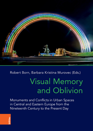 Visual Memory and Oblivion