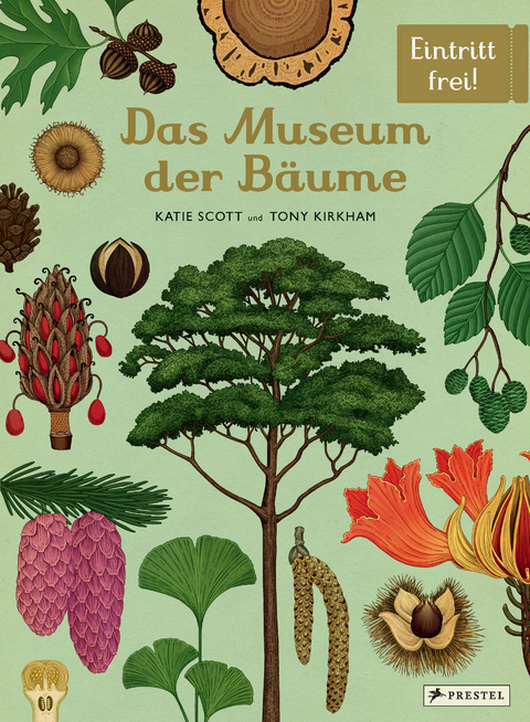 Das Museum der B&auml;ume - Tony Kirkham, Katie Scott