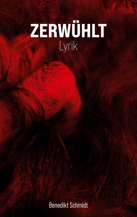 Zerw&uuml;hlt - Benedikt Schmidt