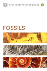 Fossils - Dk