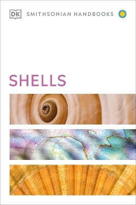 Shells -  Dk