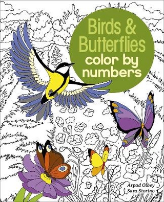 Birds & Butterflies Color by Numbers