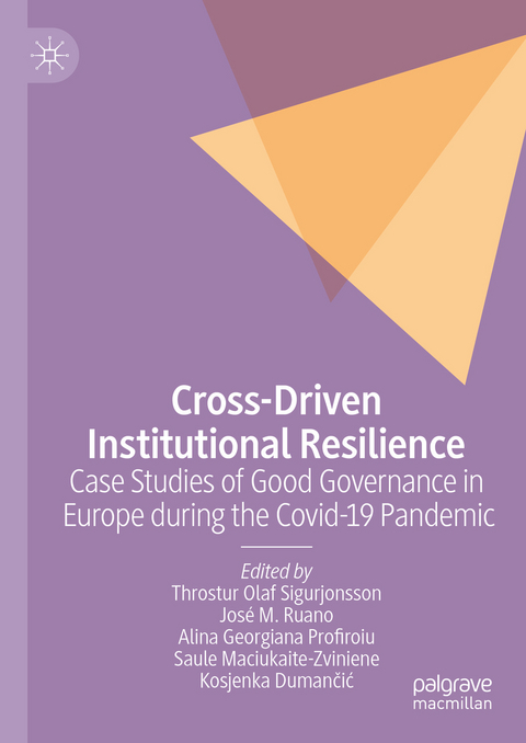 Cross-Driven Institutional Resilience - 