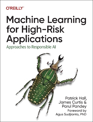 Machine Learning for High-Risk Applications - Patrick Hall, James Curtis, Parul Pandey