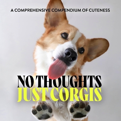 No Thoughts Just Corgis - Union Square &amp Co.;  