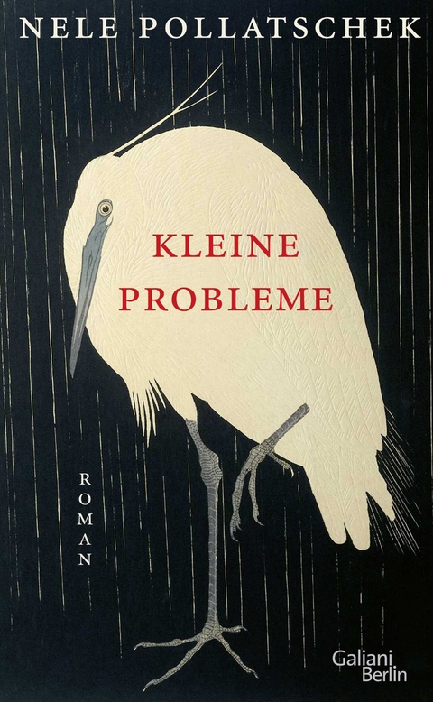 Kleine Probleme - Nele Pollatschek