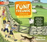 Fünf Freunde JUNIOR - Drei Abenteuer - Timmy, der Meisterdetektiv. Gefahr auf den Klippen. Das Geburtstags-Abenteuer - Enid Blyton