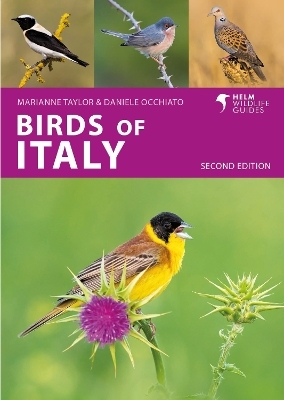 Birds of Italy - Marianne Taylor, Daniele Occhiato