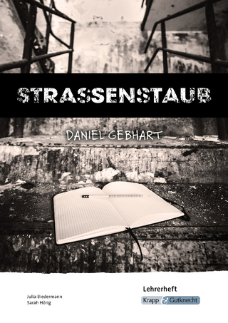 Strassenstaub – Lehrerheft – Sucht- und Drogenprävention