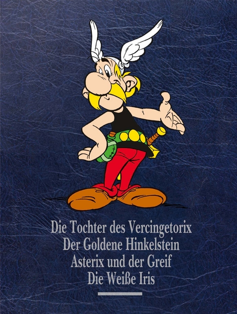 Asterix Gesamtausgabe 15 - Ren&eacute; Goscinny, Albert Uderzo, Jean-Yves Ferri,  Fabcaro