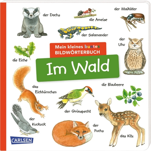 Mein kleines buntes Bildw&ouml;rterbuch: Im Wald