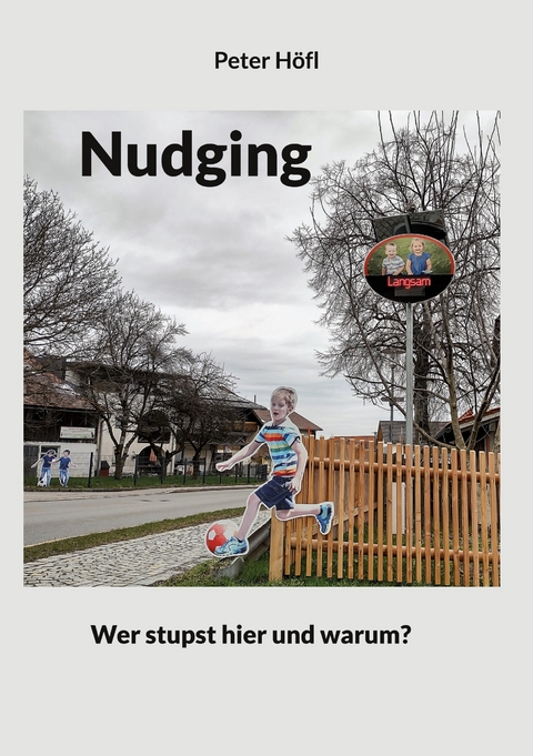Nudging - Peter H&ouml;fl