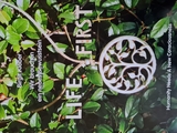 LIFE FIRST - Birgit Kl&ouml;ber