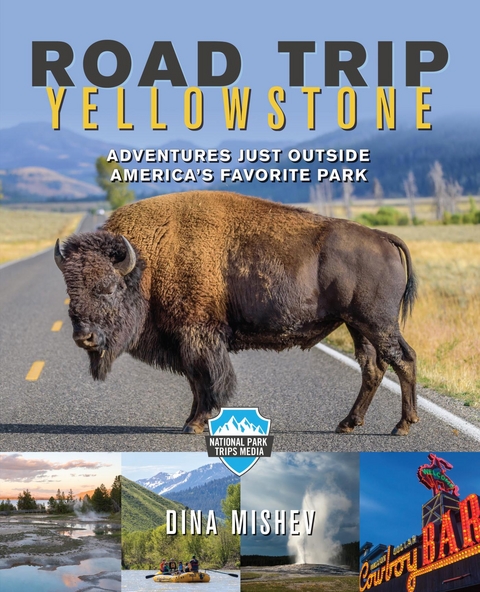 Road Trip Yellowstone -  Dina Mishev
