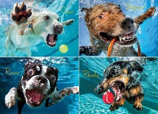 Underwater Dogs: Pool Pawty Jigsaw