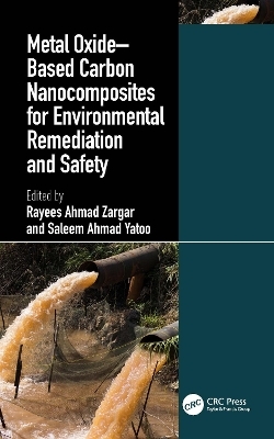 Metal Oxide&ndash;Based Carbon Nanocomposites for Environmental Remediation and Safety - 