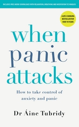 When Panic Attacks -  Aine Tubridy