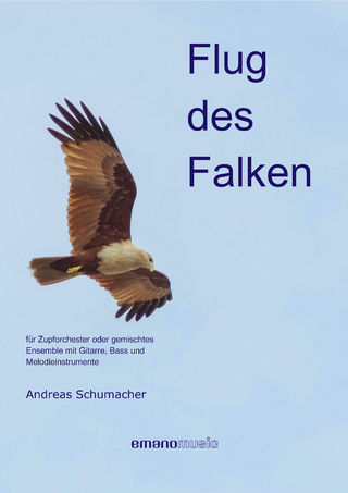 Flug des Falken