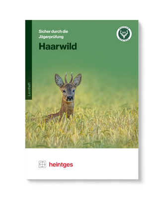 Haarwild