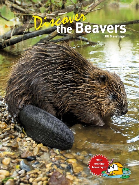 Discover the Beavers - Ulrich Meßlinger