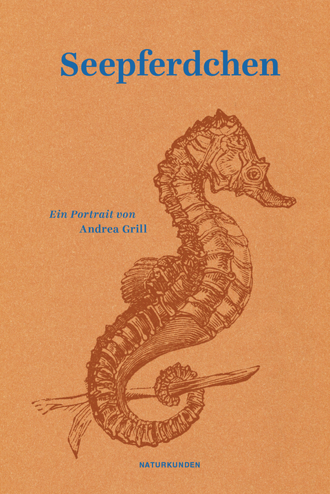 Seepferdchen - Andrea Grill