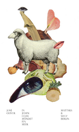 In jeden Fluss m&uuml;ndet ein Meer - Jos&eacute; F. A. Oliver