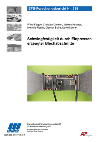 Schwingfestigkeit durch Einpressen erzeugter Blechabschnitte
