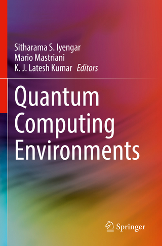 Quantum Computing Environments