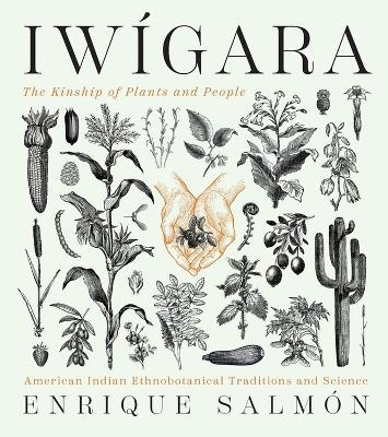 Iw&iacute;gara - Enrique Salm&oacute;n