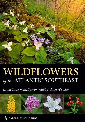 Wildflowers of the Atlantic Southeast - Alan Weakley, Damon Waitt, Laura Cotterman