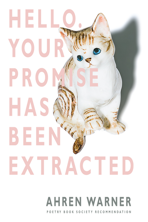 Hello. Your promise has been extracted - Ahren Warner