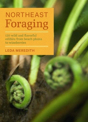 Northeast Foraging - Leda Meredith