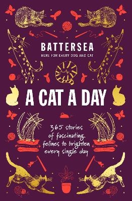 Battersea Dogs and Cats Home - A Cat a Day - Battersea Dogs and Cats Home