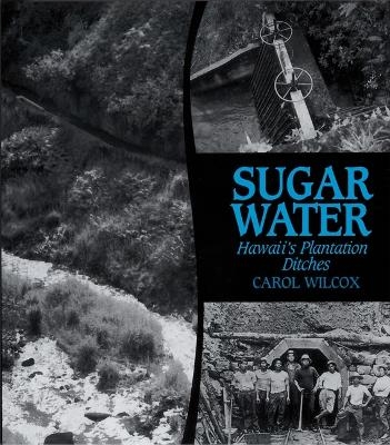 Sugar Water - Carol Wilcox