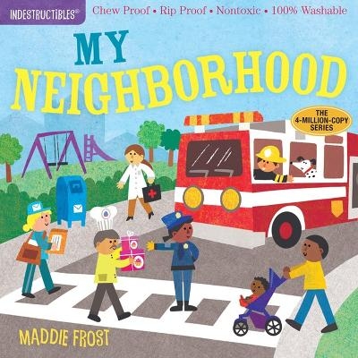 Indestructibles: My Neighborhood - Amy Pixton