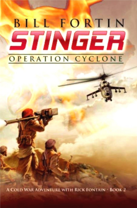 Stinger Operation Cyclone - Bill Fortin