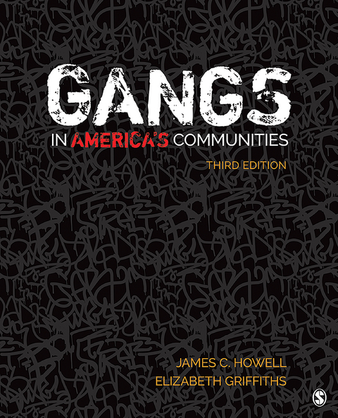 Gangs in America′s Communities - James C. Howell, Elizabeth A. Griffiths