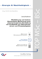 Modellierung und techno-&ouml;konomische Bewertung einer plasmainduzierten Herstellung von Kraftstoff aus &Uuml;berschussstrom und Prozessabgasen - Samuel Jaro Kaufmann