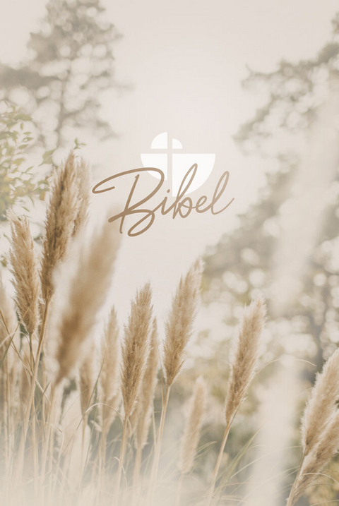 Schlachter 2000 Bibel - Taschenausgabe (Hardcover, farbiger Einband &raquo;Pampasgras&laquo;)