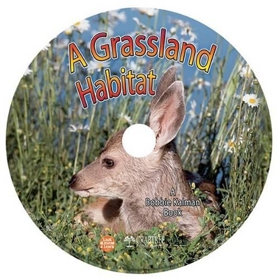 A Grassland Habitat - Kelley MacAuley