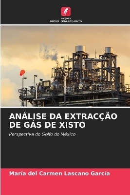 An&aacute;lise Da Extrac&ccedil;&atilde;o de G&aacute;s de Xisto - Mar&iacute;a del Carmen Lascano Garc&iacute;a