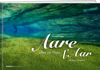 Aare - alles im Fluss